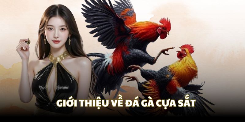 Giới thiệu chung về đá gà cựa sắt